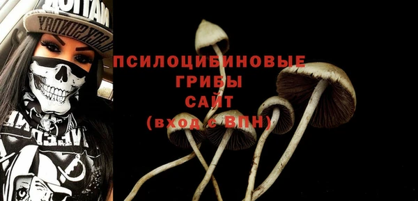 мет Аркадак