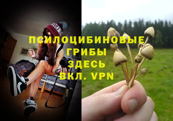 мет Аркадак