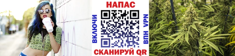 купить наркоту  дарк нет клад  Бошки Шишки SATIVA & INDICA  Белозерск 